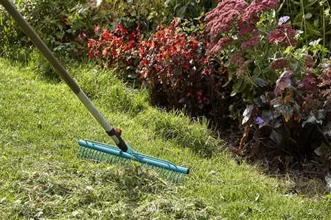 The Microclimate Effect: Why One Lawn Needs 3 Watering Strategies