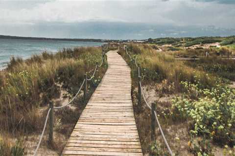 Your Guide to Paver Sealing Jacksonville