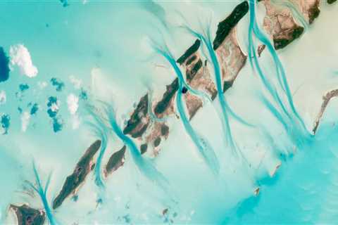 Jacksonville Paver Sealing: Long-Lasting Paver Maintenance Solutions