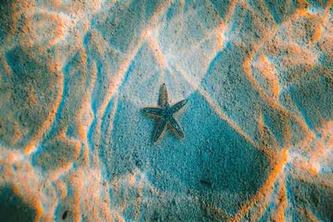 Licensed Paver Sealing Specialists