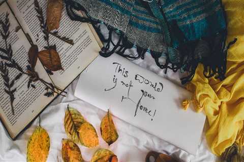 Best Interior Painting Services in Belmont