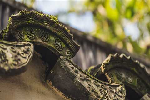 Belmont Interior Painting: Top Rated Home Painting Services