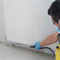 Upgrade Windows and Eliminate Pests with Omega Pest Solution