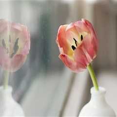 Enhance Your Home with Glass Services in Lucedale