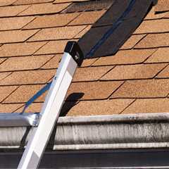 Identifying Signs of Roof Damage: What Homeowners Should Know