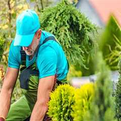 Expert Lawn Pest Control and Snow Management in Manchester