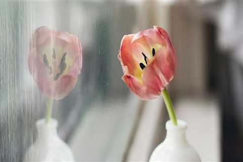 Enhance Your Home with Glass Services in Lucedale