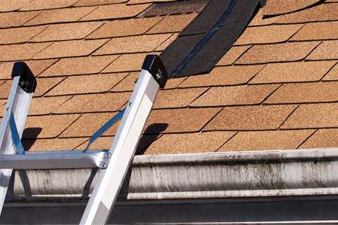 Identifying Signs of Roof Damage: What Homeowners Should Know