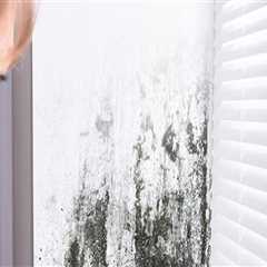 Mold Inspection Considerations for Energy-Efficient Homes