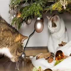 Ensuring Tree Safety: Protecting Your Pets from Potential Hazards