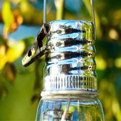 Elevate Your Outdoor Spaces with Lighting & Paving in Boca Raton