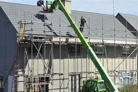 Protect Your Roof with Organic Pest Control | A&M Roofing