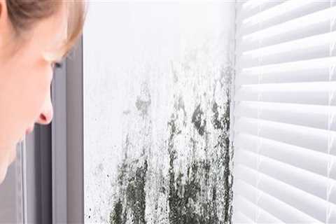 Mold Inspection Considerations for Energy-Efficient Homes