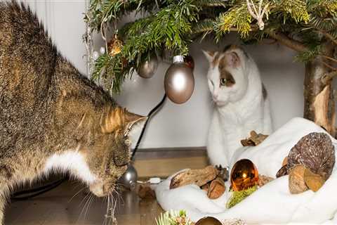 Ensuring Tree Safety: Protecting Your Pets from Potential Hazards