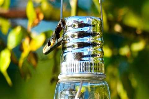 Elevate Your Outdoor Spaces with Lighting & Paving in Boca Raton