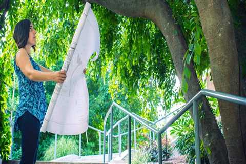 Understanding Tree Risk Assessment: Key Factors and Considerations