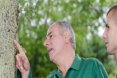 Understanding the Arborist's Role in Tree Risk Assessments