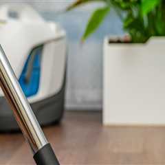 Discover Carpet Cleaning Costs in Eugene