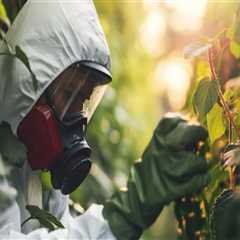 Avoiding Harsh Chemicals with Organic Pest Control Before Moving