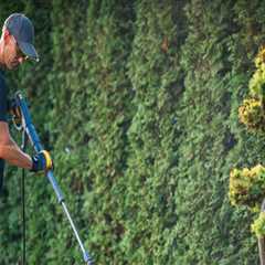 Arborist Improvements That Stand Out with Pressure Washing Services