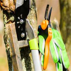 Choosing the Right Tools for Seasonal Tree Care Projects Made Simple