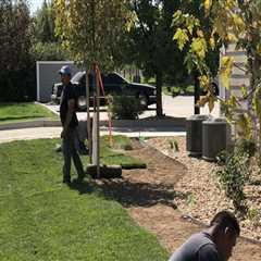 Landscape Architects and the Value of Professional Installation Support