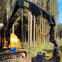 Forestry Equipment Considerations for Projects With Underground Wiring