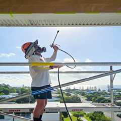 Strata Painting Services for Dee Why NSW Buildings: Tips for Property Managers - Sticky Wiki