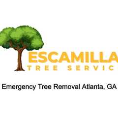 Emergency Tree Removal Atlanta, GA - Escamilla Tree Service - (404) 426-8613
