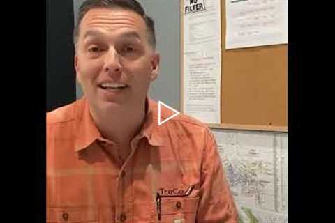 Affordable Tree Care