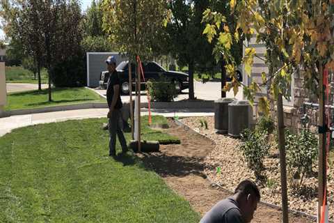 Landscape Architects and the Value of Professional Installation Support