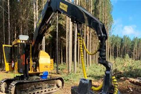 Forestry Equipment Considerations for Projects With Underground Wiring