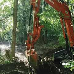 Navigating Tree Excavation in Rocky Soil: Challenges and Solutions