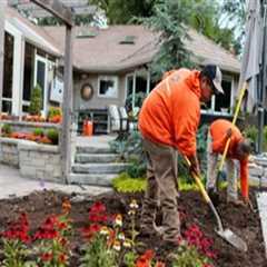 From Plant Selection to Placement: Landscaping for Pest Prevention