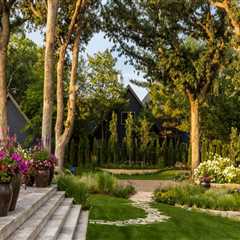 Exploring the Benefits of Landscape Renovation for Your Property