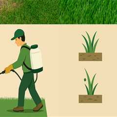Understanding Common Turf Diseases and Effective Management Strategies