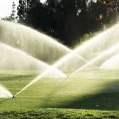 Understanding the Impact of Weather on Turf Management Practices