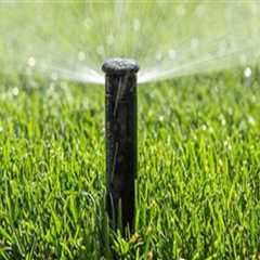 Mastering Turf Management: How to Determine the Right Amount of Water for Your Lawn