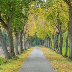 Enhance Your Landscape with Lawn Sprinklers and Tree Care