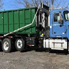How Dumpster Rental Simplifies Debris Removal After Crane Tree Operations