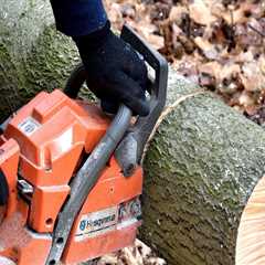 Tree Safety and Professional Tree Removal Solutions in West Virginia