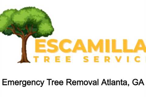 Emergency Tree Removal Atlanta, GA
