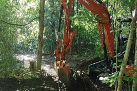 Navigating Tree Excavation in Rocky Soil: Challenges and Solutions