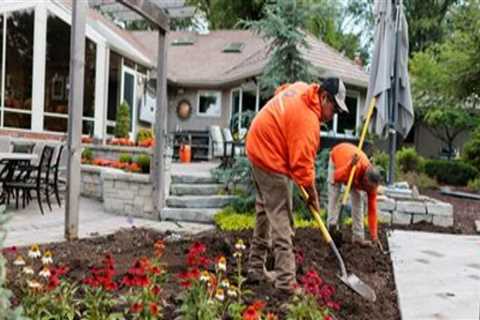 From Plant Selection to Placement: Landscaping for Pest Prevention