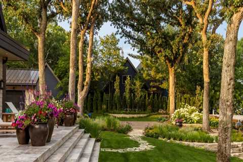 Exploring the Benefits of Landscape Renovation for Your Property