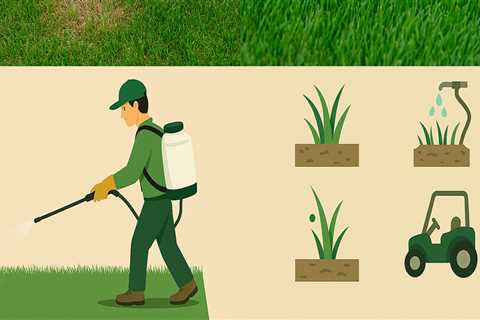 Understanding Common Turf Diseases and Effective Management Strategies