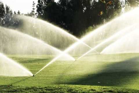Understanding the Impact of Weather on Turf Management Practices