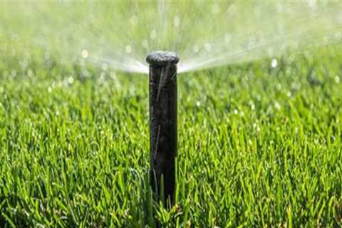 Mastering Turf Management: How to Determine the Right Amount of Water for Your Lawn