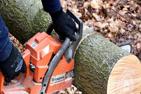 Tree Safety and Professional Tree Removal Solutions in West Virginia