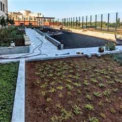 The Rarely Mentioned Impact of Landscaping on Seasonal Property Performance